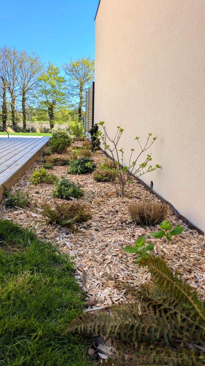 Paillage plaquettes peuplier mod