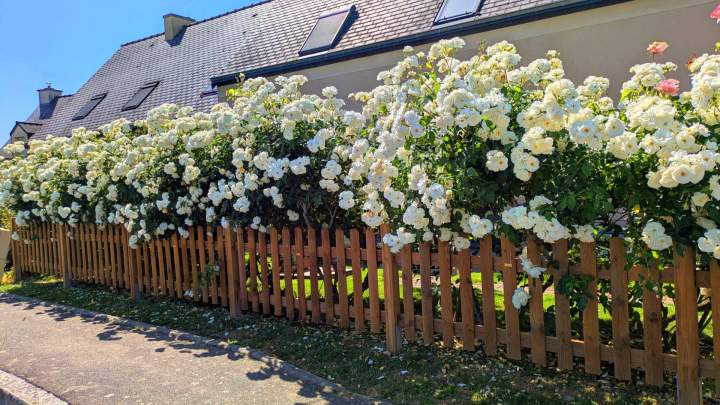 Création de jardin Melesse