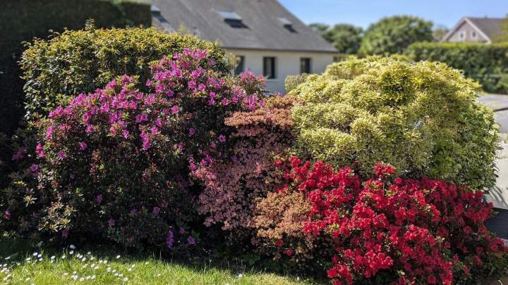 Jardinage Melesse